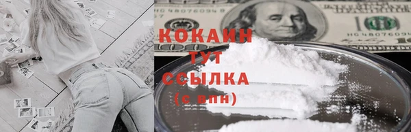 тгк Белокуриха