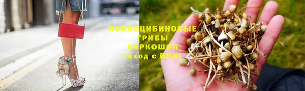 тгк Белокуриха