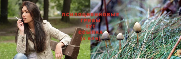 тгк Белокуриха